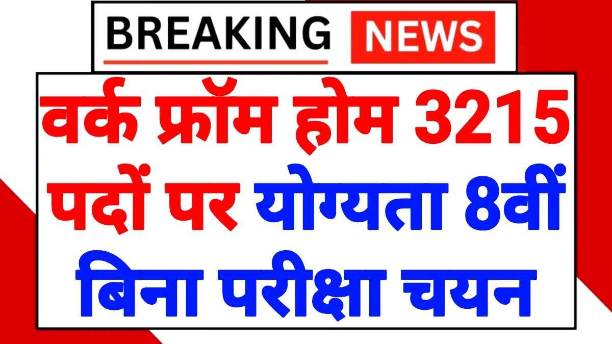 Mukhyamantri Work From Home Yojana 2026